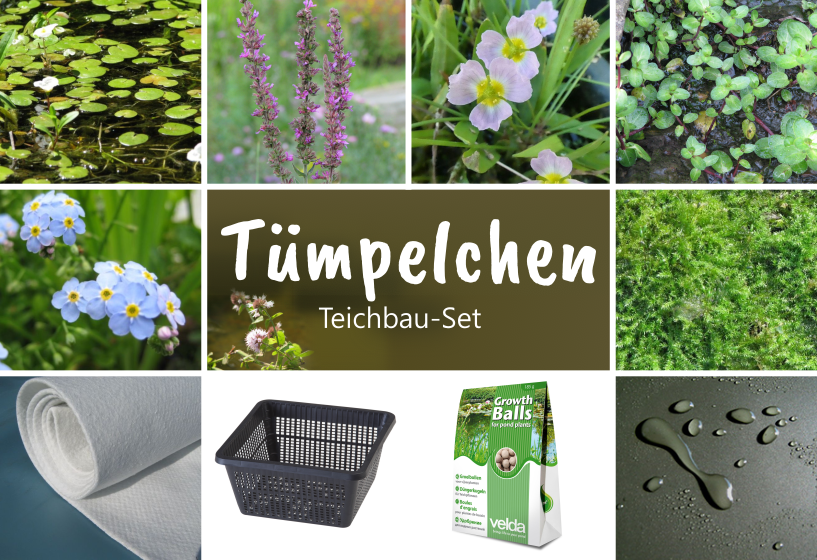 Miniteich Starterset