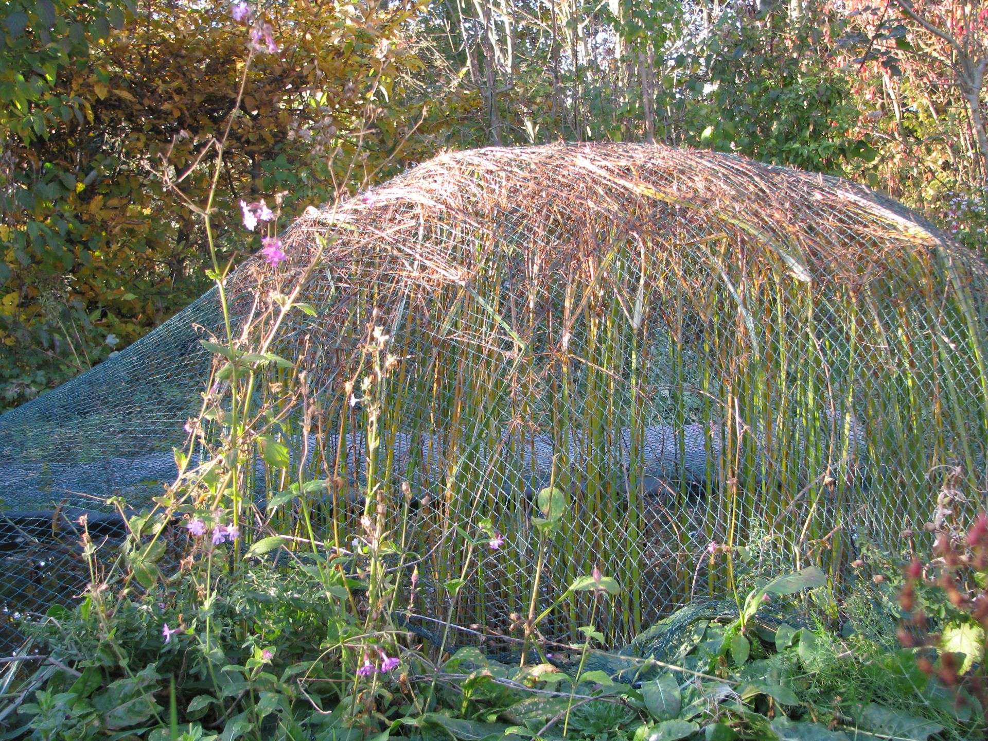 Teichnetz grobmaschig